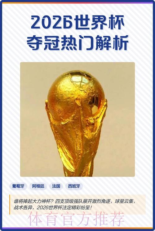 2026世界杯夺冠热门深度解析与投注策略指南